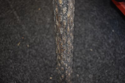 Lot 405 - A 17TH CENTURY GERMAN BOAR SPEAR