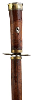 Lot 550 - A SUBSTANTIAL 19TH CENTURY SWORD STICK