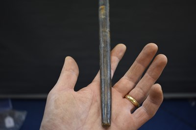 Lot 66 - A SRI LANKAN OR SOUTHERN INDIAN LACQUERED POLE ARM