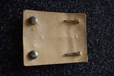 Lot 727 - AN OFFICER'S SHOULDER BELT PLATE TO THE 18TH REGIMENT OF FOOT (THE ROYAL IRISH)