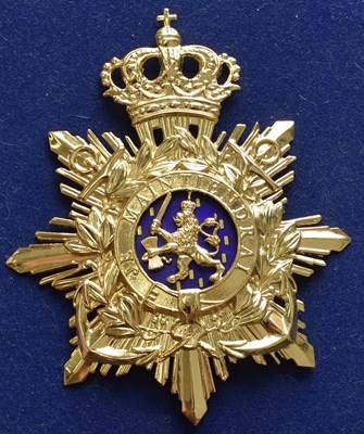 Lot 675 - A BLUE CLOTH HELMET PLATE OF THE NETHERLANDS MARINE CORPS