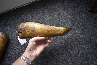Lot 508 - A CARVED HORN POWDER HORN