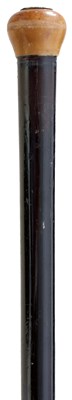 Lot A RARE 19TH CENTURY SWORD STICK